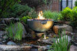 FIre and Water Bowl Image